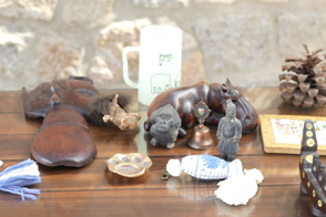 Image Gallery